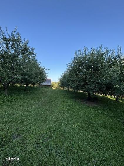 Teren de 5000 mp, în Boteni