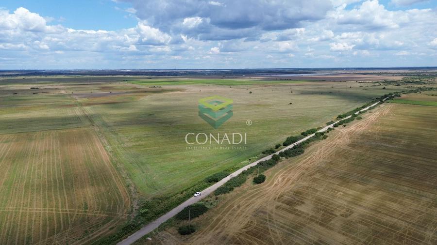 Teren agricol intravilan de 154000 mp, în Bulbucata