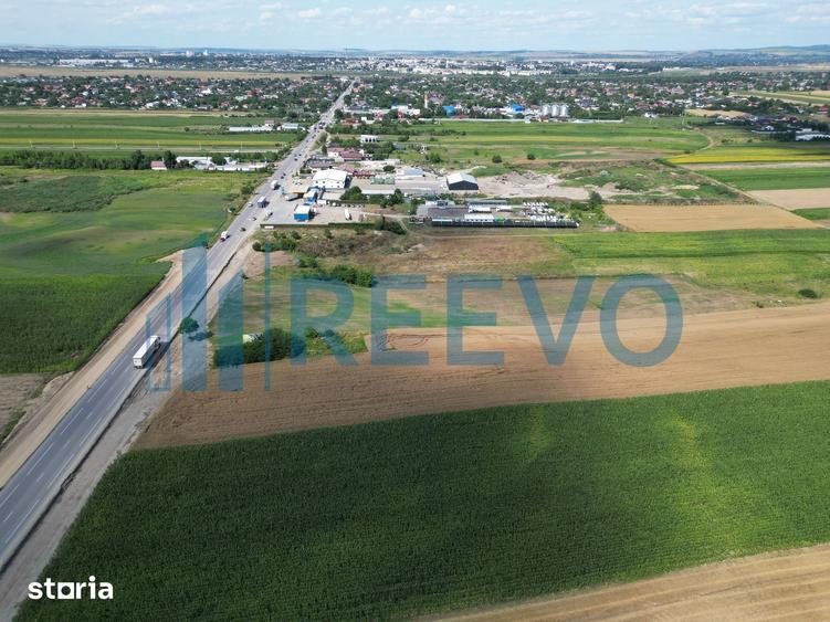 Teren de 4947 mp, în Horia