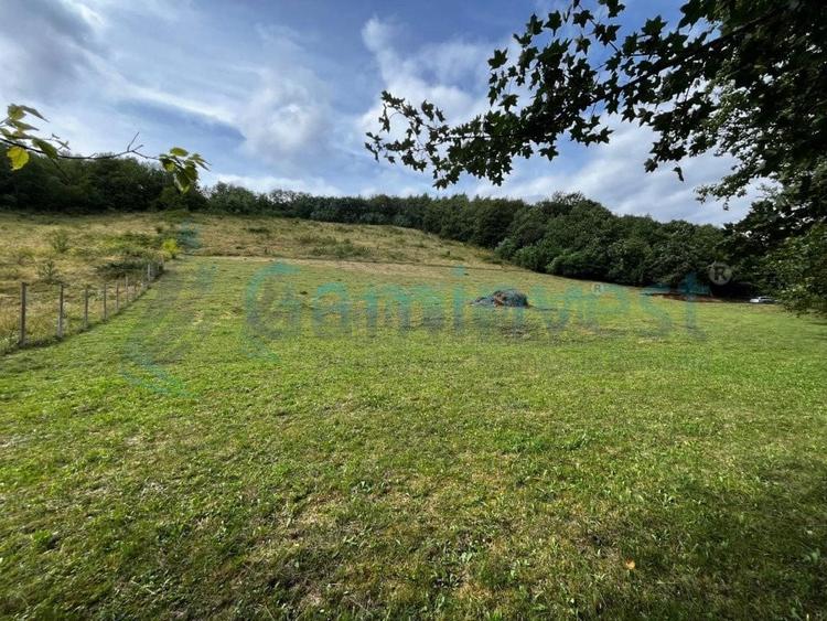 Teren agricol extravilan de 13500 mp, în Aștileu