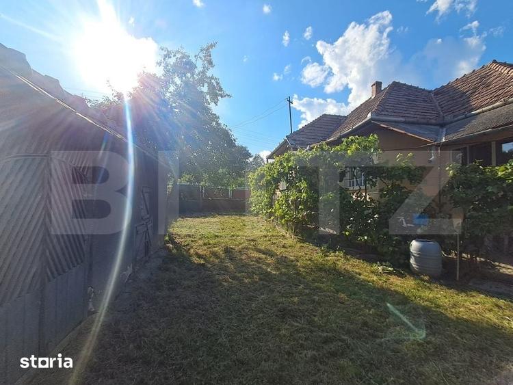 Casă cu 3 camere cu Teren 992 Mp în Criș