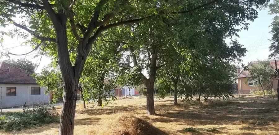 Teren de 896 mp, în Central