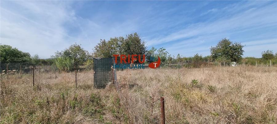 Teren Construcții intravilan de 1316 mp, în Partoș