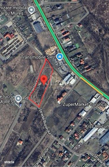 Teren 5 300 Mp Intravilan De Vanzare, Str Bujorului, Corunca - 2