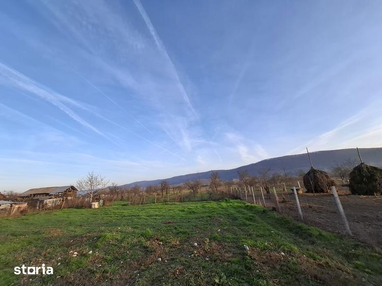 4.443 mp pozi?iona?i direct la DJ678A, cu 39,57 m front stradal . - 6