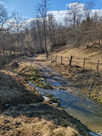 Vand 5000 mp in Albesti / 10 km de Campulung Muscel - 1