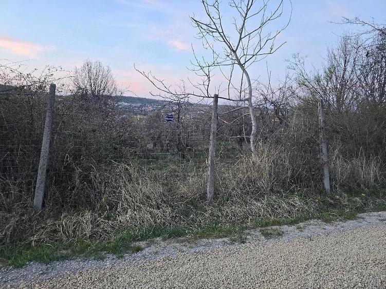 Teren de 1000 mp, în Dealuri Oradea