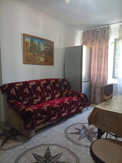 Apartament mic de inchiriat - 4