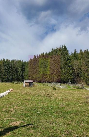 Teren intravilan 2500 mp in Valea Doftanei - 4