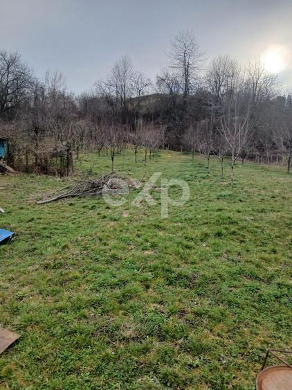 Teren Construcții intravilan de 1600 mp, în Dragodănești