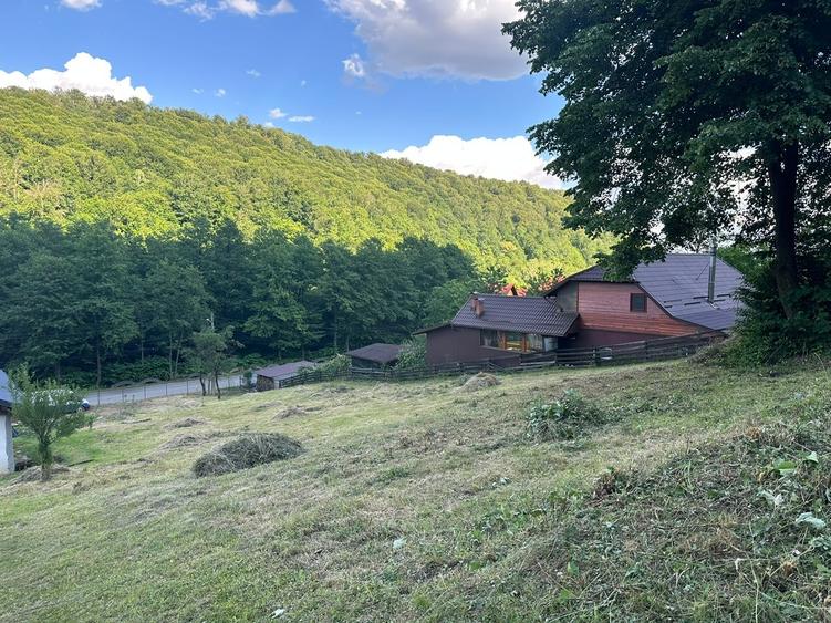 Teren Construcții intravilan de 6200 mp, în Tăuții-Măgherăuș
