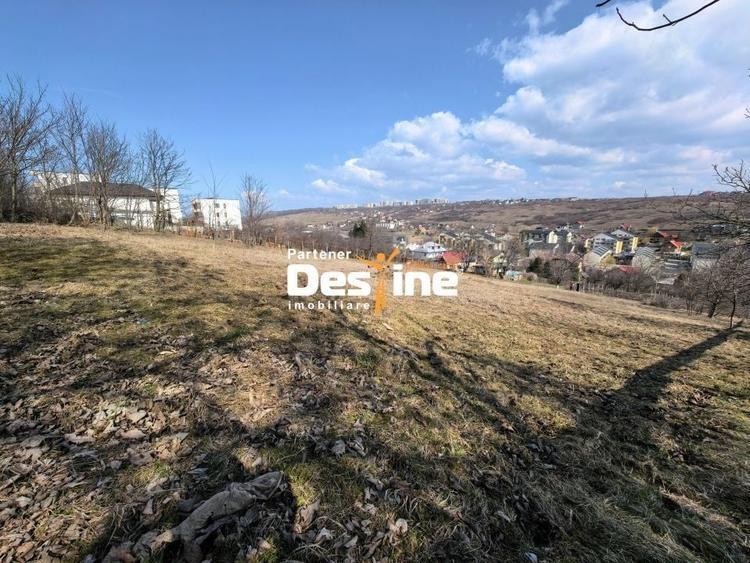 Teren Construcții intravilan de 3000 mp, în Rediu