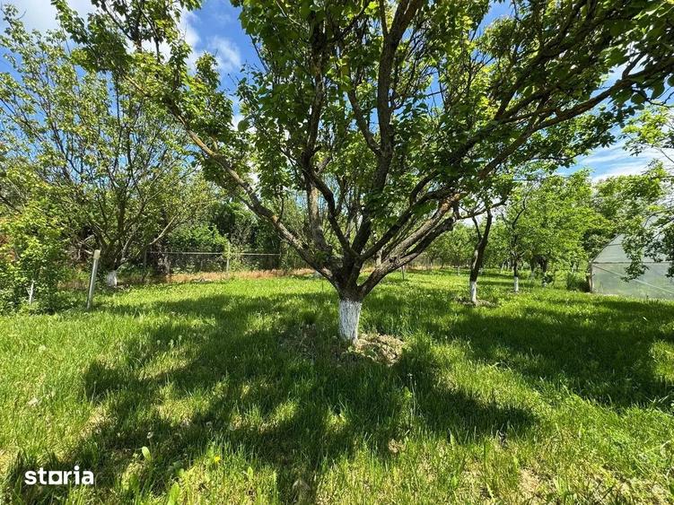 Casa cu 4000 mp teren, Letca Noua, Giurgiu 40 min de Bucure?ti - 6