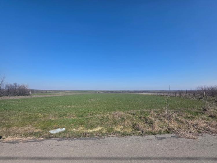 Teren Construcții extravilan de 3800 mp, în Exterior Nord