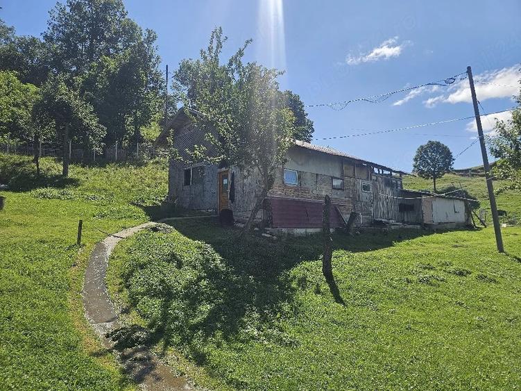 Teren de 9000 mp, în Șotrile