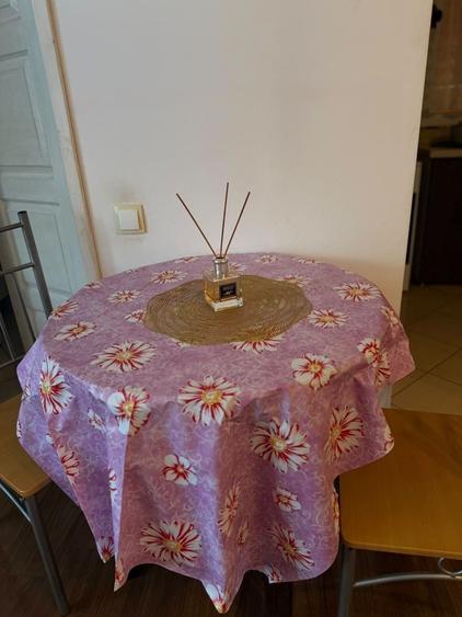 Apartament cu 2 camere semidecomandat în Mogoșoaia