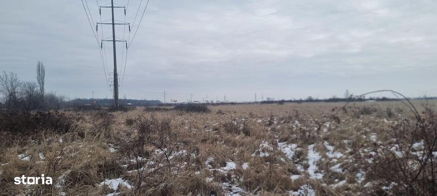 Teren de 60000 mp, în Bradu