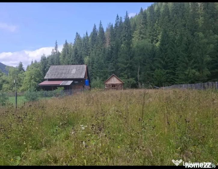 Teren în Central