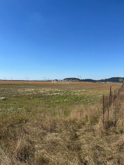 Teren Construcții intravilan de 18000 mp, în Hărman