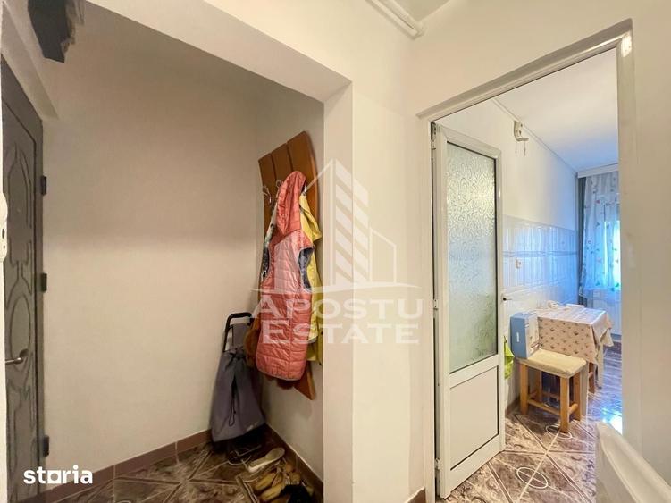 Apartament cu 2 camere semidecomandat în Șega
