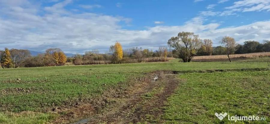 Teren de 2700 mp, în Chechiș