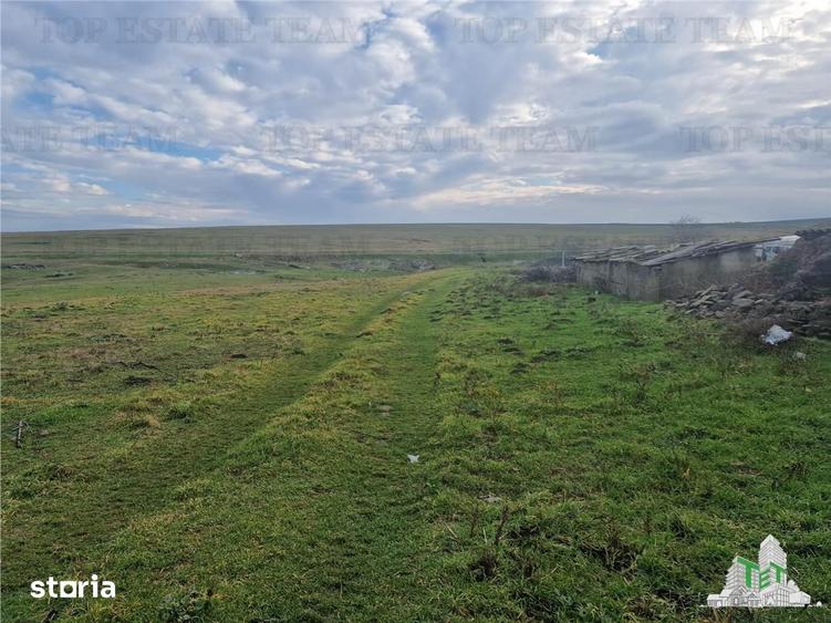 Teren de 4500 mp, în Cogealac