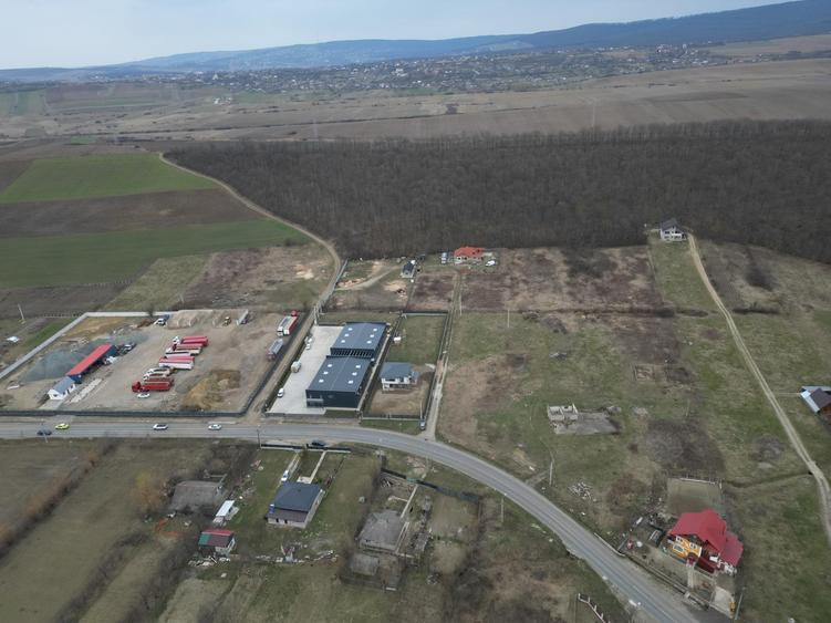 Teren Construcții intravilan de 3500 mp, în Mogoșești