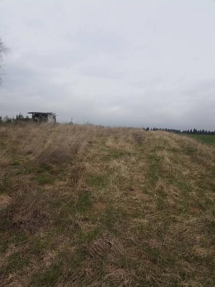Teren Construcții intravilan de 679 mp, în Reci