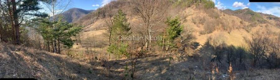 Teren Nehoiu, pentru cabană offgrid sau glamping