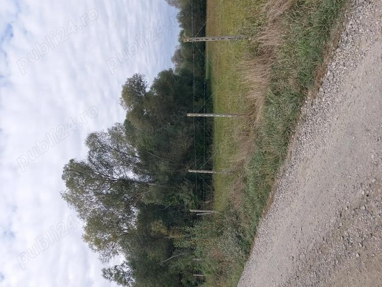 Teren de 4712 mp, în Dumbrăveni