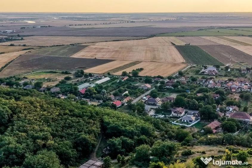 Teren în Miniș