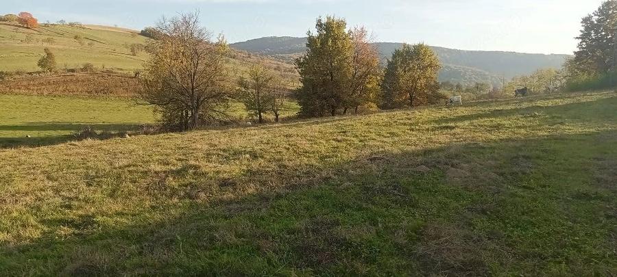 Casă cu Teren 7000 Mp în Fâșca