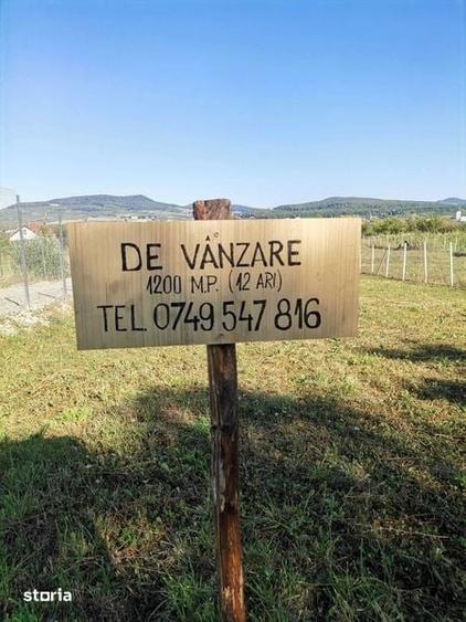 Teren de 1200 mp, în Central