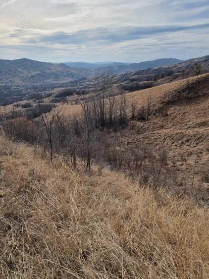 Teren de 25000 mp, în Vintilă Vodă
