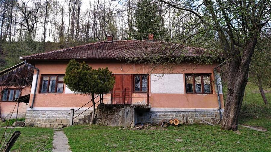Teren Construcții intravilan de 69237 mp, în Crișcior