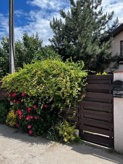 Casa individuala - P+M, 4 camere - Corbeanca, Tamasi - 21