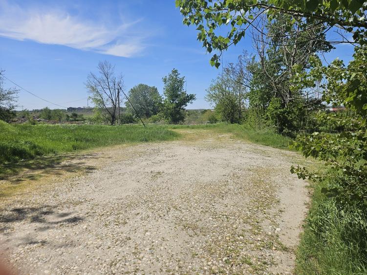 Teren de 550 mp, în Clinceni