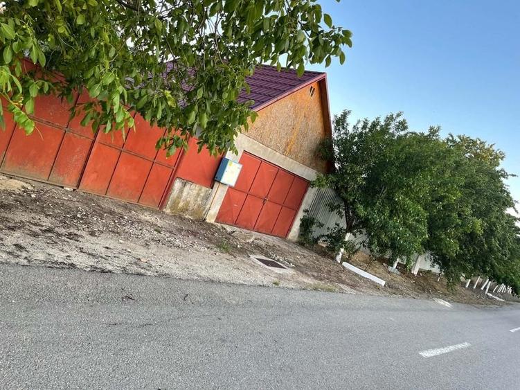 Casă cu 4 camere în Socodor