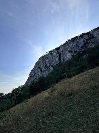 Teren de 3000 mp, în Ciuruleasa