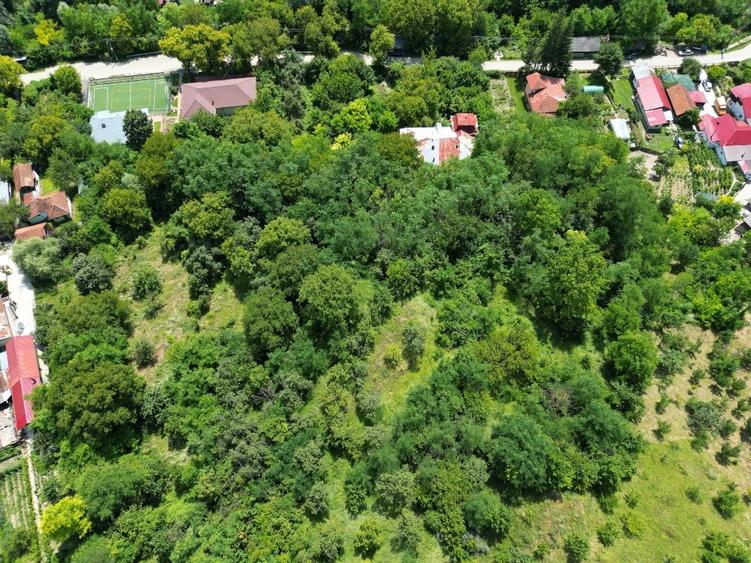 Casă individuală cu 5 camere cu Canalizare în Chiojdeanca