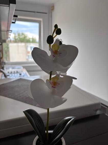 Apartament cu 2 camere nedecomandat, mobilat în Girocului
