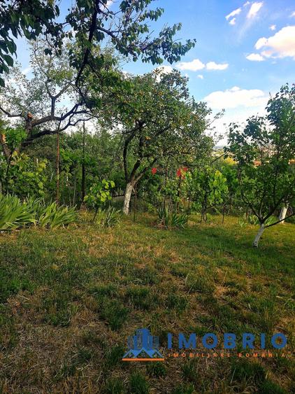 Proprietate panoramica exclusivista in Oradea livada matura cu utilita?i ?i vedere spectaculoasa - 6