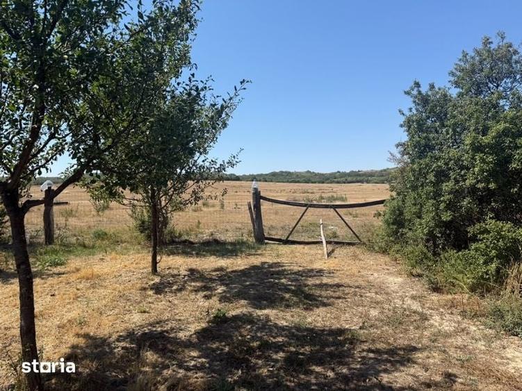 Teren de 3100 mp, în Brusturi