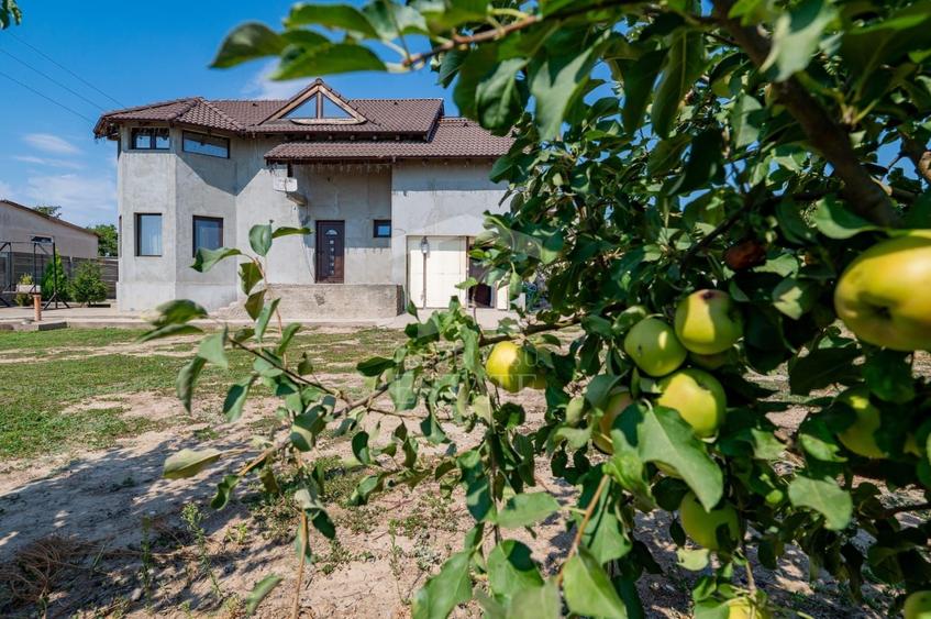 Casă individuală cu 5 camere cu Canalizare în Satu Nou (Mircea Vodă)