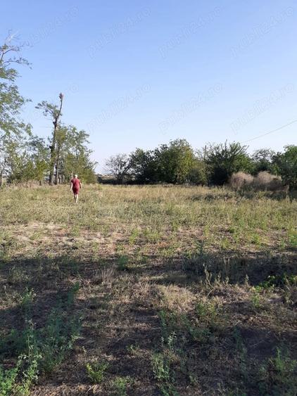 Teren de 2772 mp, în Găgeni