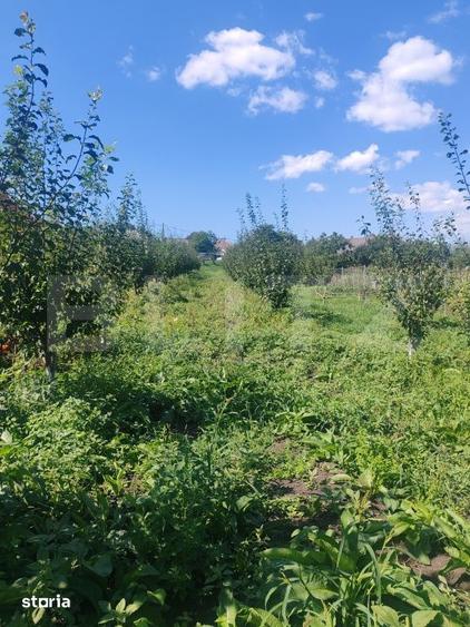 Casă cu 1 camere cu Teren 3000 Mp în Horodnic