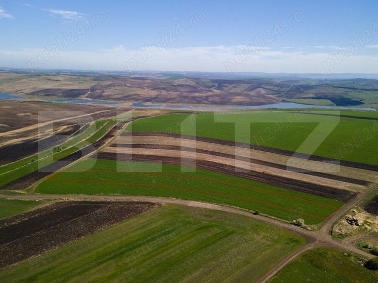 Teren Construcții extravilan de 8000 mp, în Copăceni
