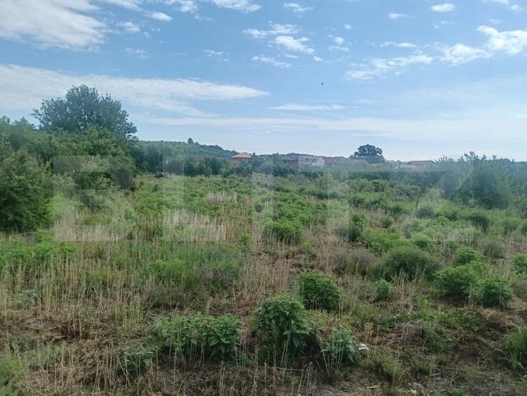 Teren Construcții intravilan de 1200 mp, în Lugoj