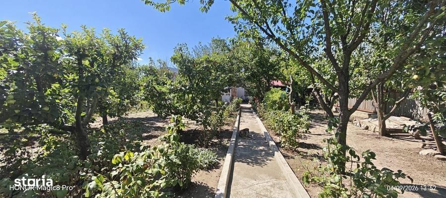 Casă cu 4 camere în Vulturi