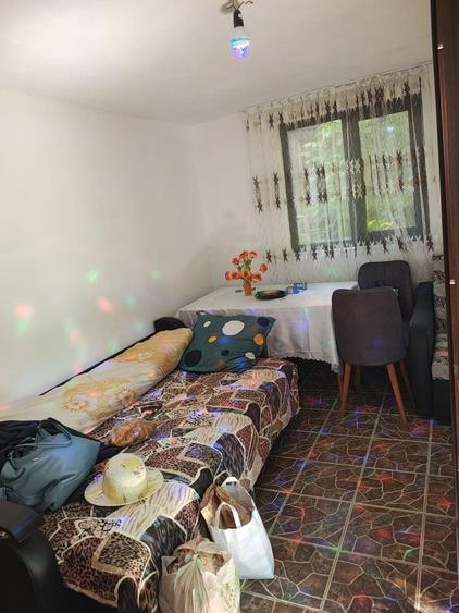 Casa de vanzare com. Nucsoara - 6